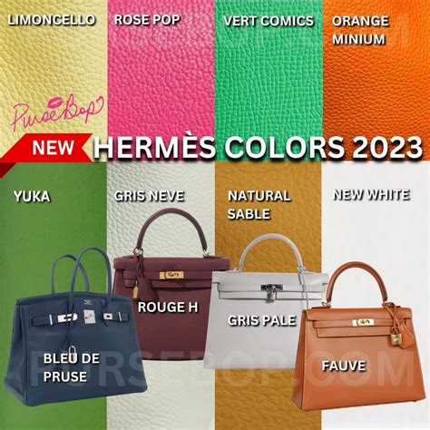 hermes leather colors|hermes luggage color chart.